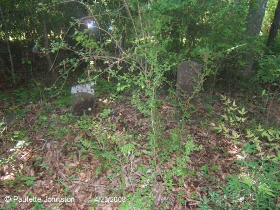 Durr Family Cemetery Photograph