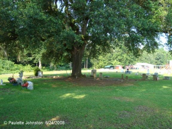 Mellard Cemetery aka Jedburg Baptist Cemetery