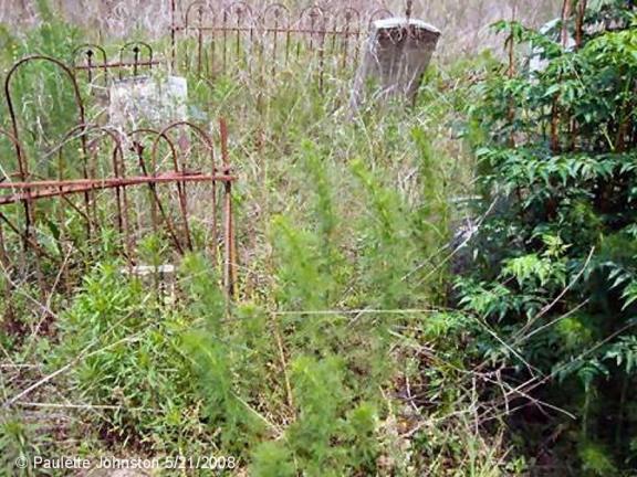 Old Murray - Shuler Cemetery