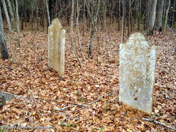Spring Branch Stroble Graves