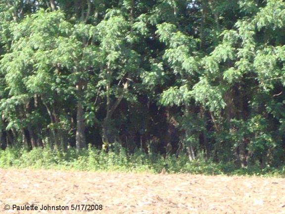 Kizer Jackson Cemetery
